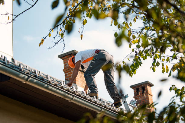 Best Storm Damage Roof Repair  in Washington Court House, OH